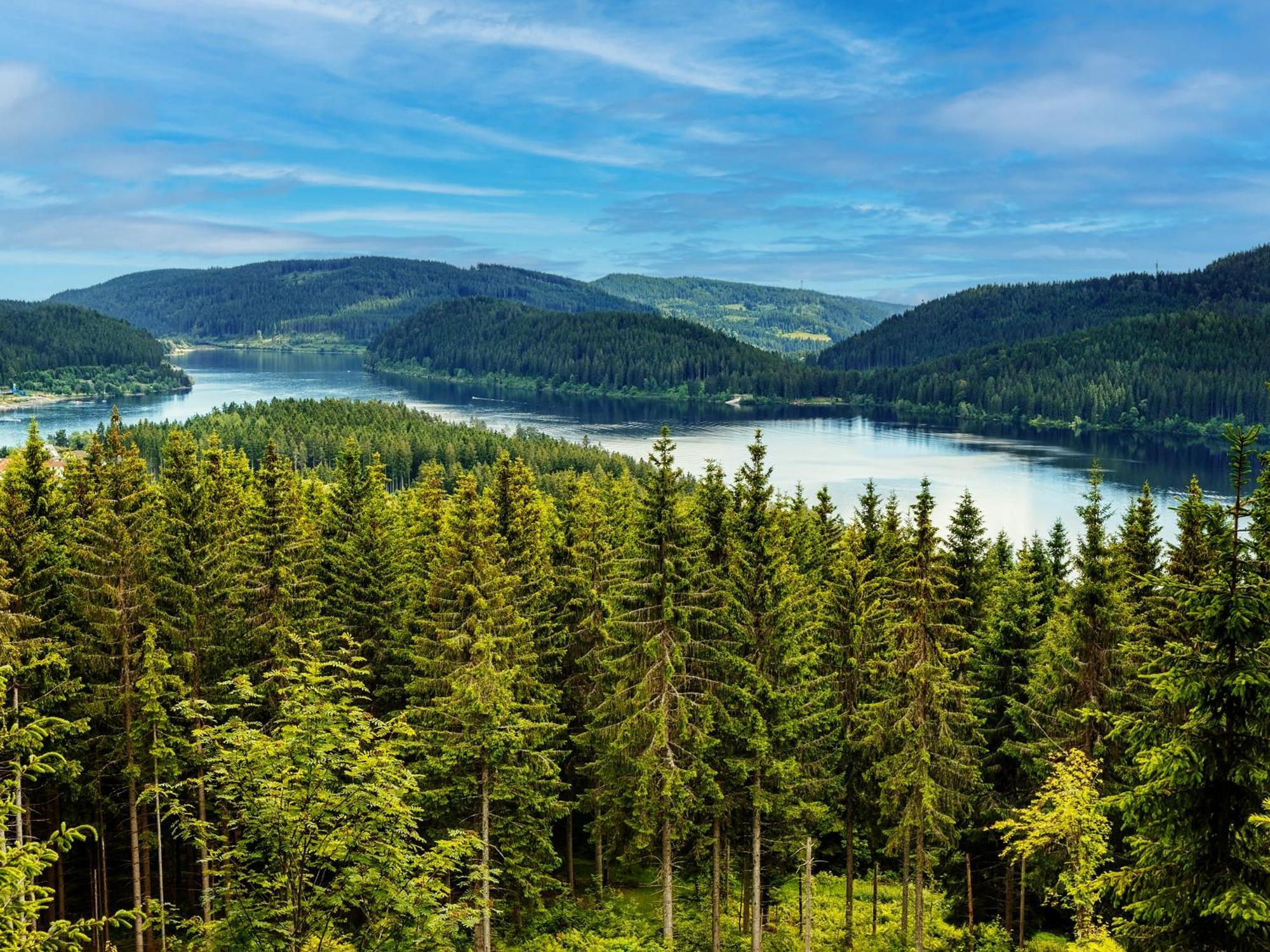 Black Forest Luxury Apartment Baerenhoehle Mit Sauna 施卢赫湖 外观 照片