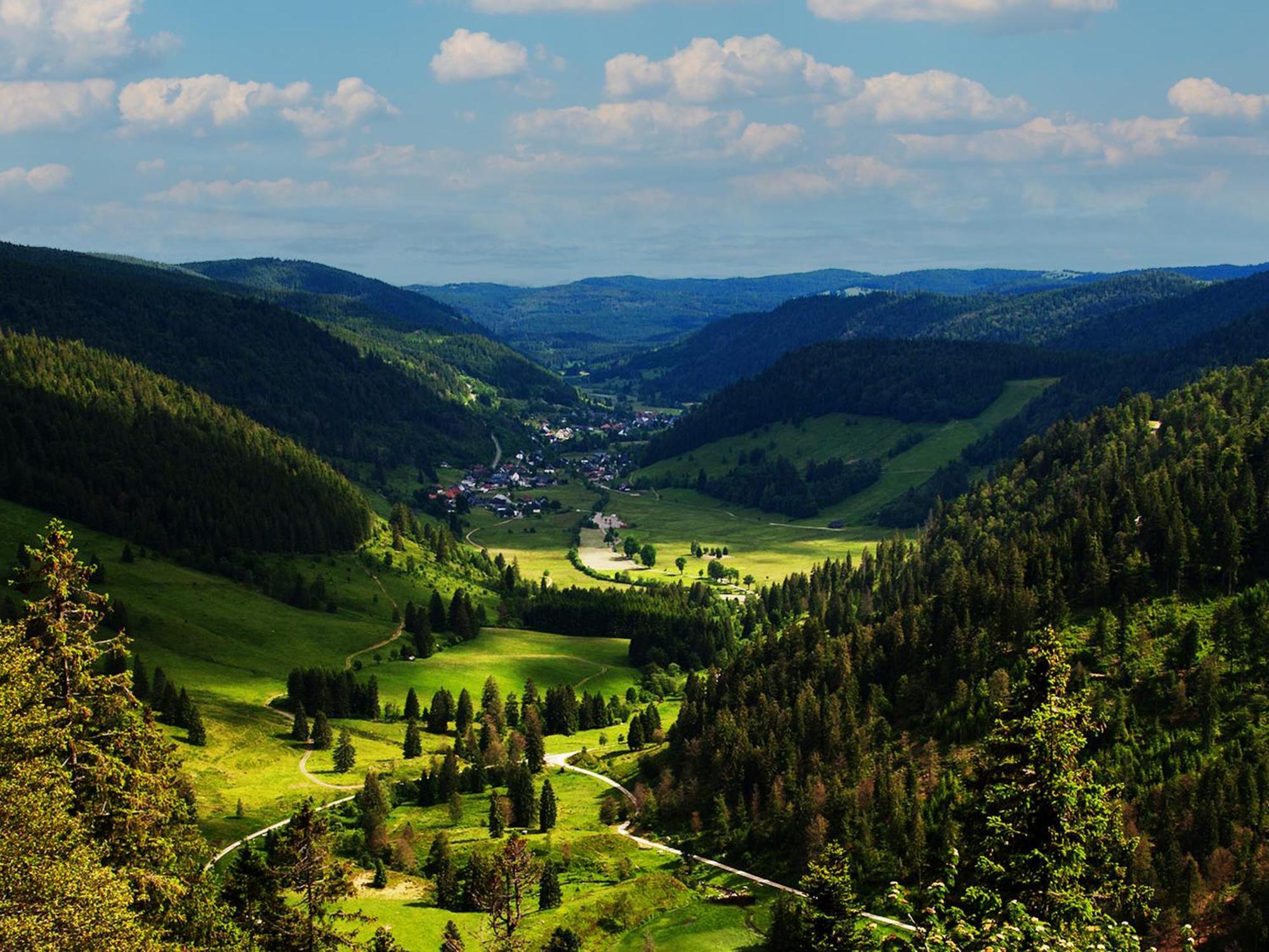 Black Forest Luxury Apartment Baerenhoehle Mit Sauna 施卢赫湖 外观 照片